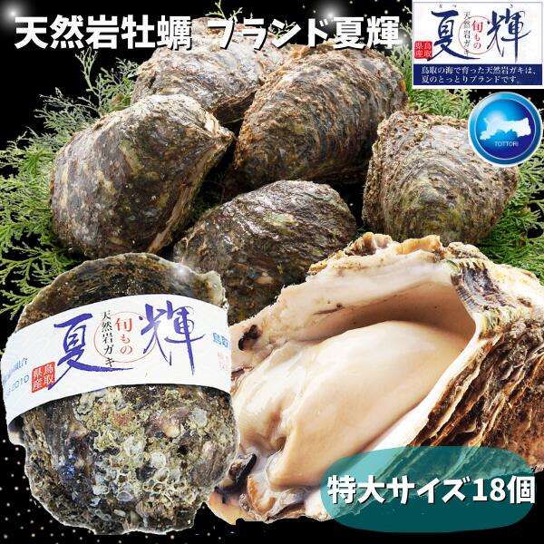 天然岩牡蠣 (生食用)牡蠣 特大350g〜450前後 ×18個セット 鳥取産(活) 朝採れ 刺身用 送料無料(岩ガキ/岩がき)