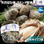 ŷ䲴 ڲƵ()()350g450 2ĥåȡĻ軺 īΤ ɿ ̵(䥬/䤬)