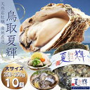 天然岩牡蠣 【夏輝】(生食用)牡蠣(活)大250g~350前後 ×10個セット 鳥取産 朝採れ 刺身用 送料無料(岩ガキ/岩がき)