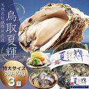 天然岩牡蠣 【夏輝】(生食用)牡蠣(活)特大350g~450前後 ×3個セット 鳥取産 朝採れ 刺身用 送料無料(岩ガキ/岩がき)