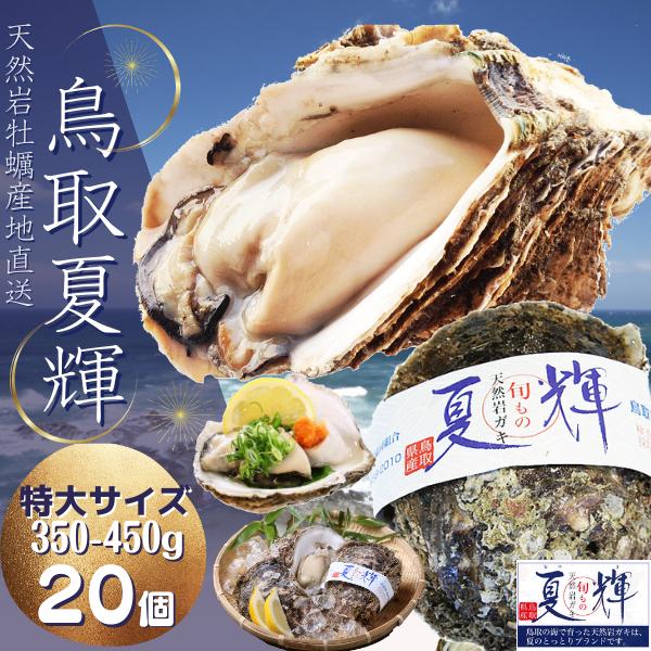 天然岩牡蠣 【夏輝】(生食用)牡蠣 特大350g〜450前後 ×20個セット 鳥取産(活) 朝採れ 刺身用 送料無料(岩ガキ/岩がき)