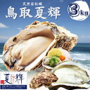 天然岩牡蠣 (活)夏輝牡蠣 3kgセット(9-15個前後) ブランド 夏輝牡蠣 鳥取産 カキ 刺身用 送料無料(岩ガキ/岩がき)