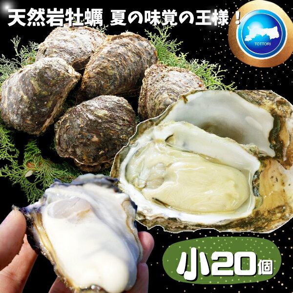 天然岩牡蠣 (活) 牡蠣 100g-150g前後 20個セット 鳥取...