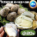 天然岩牡蠣 (活) 牡蠣 100g-150g前後 20個セット 鳥取産 岩牡蠣 カキ 刺身用 (岩ガキ/岩がき) 送料無料