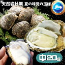 天然岩牡蠣(活)200〜300g前後×20個 店長お勧め品 朝採れ 鳥取産 (岩ガキ/岩がき) 刺身用