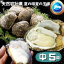 天然岩牡蠣(活)200~300g前後×5個 店長お勧め品 朝採れ 鳥取産 (岩ガキ/岩がき) 刺身用