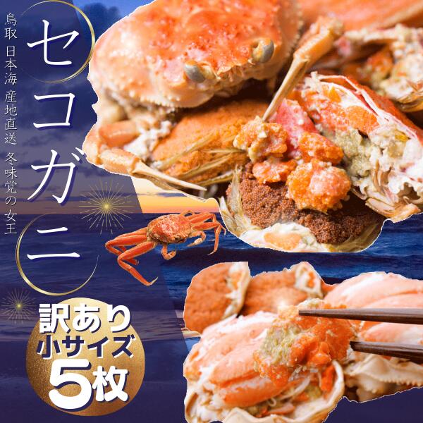 【ご予約】 山陰沖産 セコガニ 訳あり 小サイズ 5枚(1枚100-150g前後)ご自宅用 香箱カニ セイコガニ 香箱かに 親ガニ