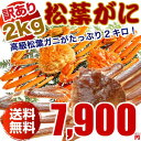 松葉ガニ(カニ 蟹 かに)2キロ 訳あり わけあり(松葉ガニ...