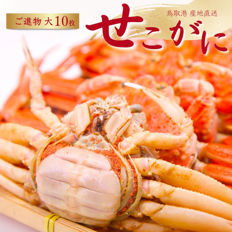 【ご進物用】1本程度の足折れ含む。贈り物に最適★10枚入り！ セコガ二「親がに・香箱がに せいこがに・セイコガニ」とも呼ばれる松葉ガニのメスがにです。 外子・内子と呼ばれる卵と「かにみそ」は絶品です。 1年間で2ヶ月間だけの貴重な味わいです。 海の幸女王せこがには一度食べたらやみつき間違いなし！ ☆生、ボイル(+500円）選べます☆ ★11月中旬頃よりかに漁があり次第、ご注文順より順次発送。 ★足折れ1本は正規品となります。 ※ボイルは1～2本足折れが有る場合がございます。 ※誠に申し訳ございませんが 蟹漁は天候に大変左右される為、着日指定不可とさせて頂きます。 ◆原産地：鳥取県賀露産　 ◆内容量：約140-170g前後×（10枚）　 ※表示の重さは生での状態のものです。 茹でたものは重量が2割程度減少しますので予めご了承ください。　 ◆賞味期限：約2日/冷蔵庫　※生ものですので、商品到着後なるべくお早めにお召し上がりください。 　◆着日指定：不可 　◆配送方法：冷蔵便　 ※送料無料商品につきまして北海道及び東北、沖縄へのお届けは 1個口につき別途送料を頂戴しております。予めご了承くださいませ。