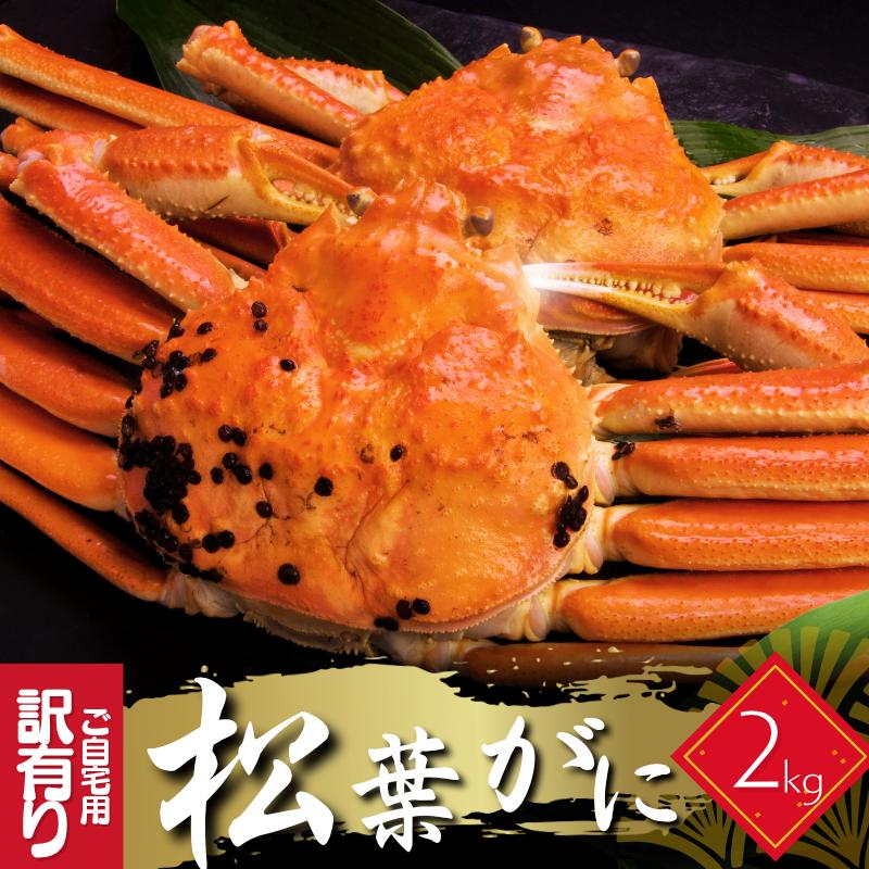  դ ͭ ܥ觤ǡ2 37 ե ճ 磻    Ļ