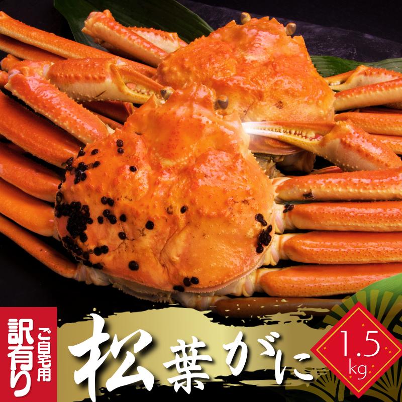  դ ͭ ܥ觤ǡ1,5 25 ե ճ 磻    Ļ