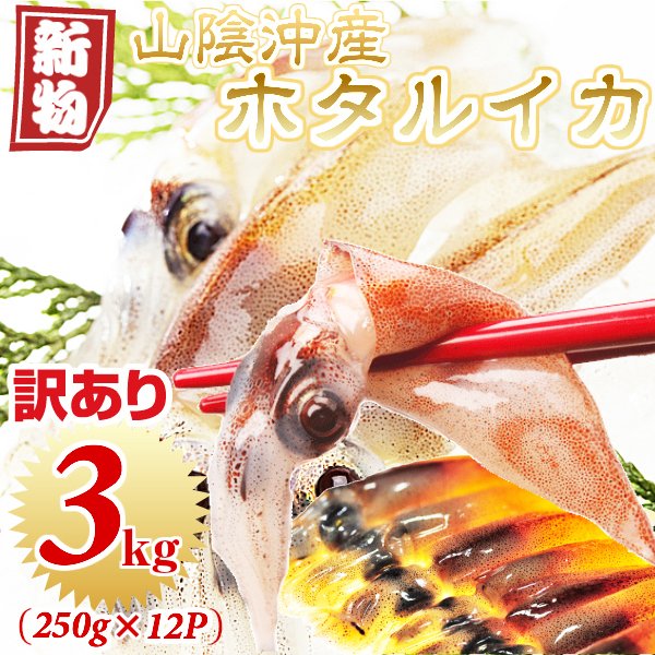 「ご予約」訳あり ほたるいか 2022年度 新物　刺身用不揃い【マイナス60℃で冷凍】(B級品）たっぷり3キロ （250g×12パック）