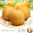 王秋梨 冬梨 訳あり 3kg(4~7玉前後)鳥取産 和梨 おうしゅう梨 送料無料