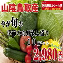 野菜詰め合わせ　西日本産　送料無料　2980円