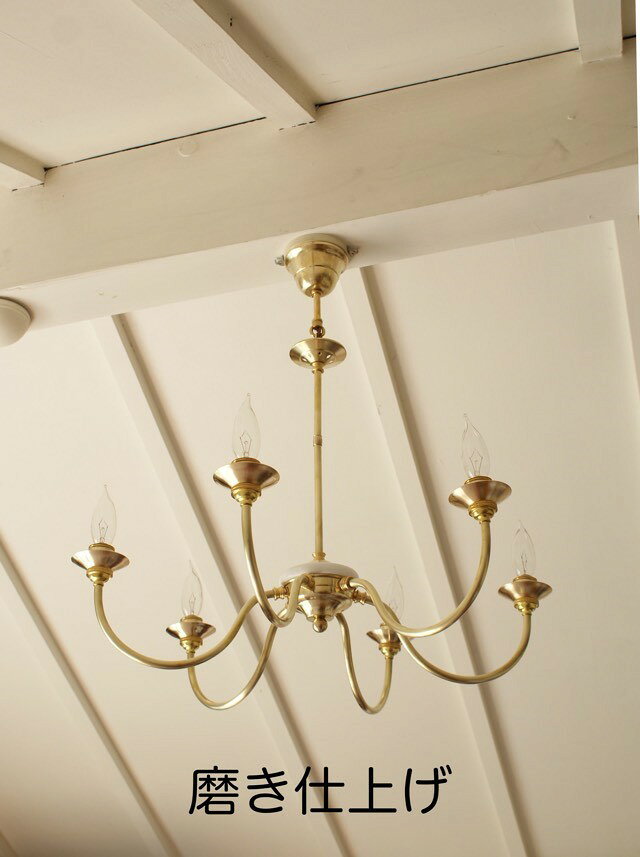 �����ǥꥢ LED�б� ���� ��������ȥꥢ�� ������� 6�� ������ ����̵�� LAMPLAMP -Royal Lamp Works-���