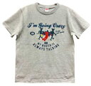 the pillows ピロウズ グッズ どうかなりそう Tシャツ ミックスグレー L