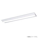 LEDベースライト セット XLX450DDWPLE9(NNLK42523J+NNL4500DWT LE9)XLX450DDWP LE9 パナソニック