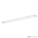 LEDベースライト セット XLX450MDNTLE9(NNLK41710+NNL4500DNT LE9)XLX450MDNT LE9 パナソニック