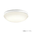 電球色LED電球フラット形 13.2W(GX53-1a) No.253PL樹脂(白色)アクリル(乳白)巾f317 高100 1.1kg光源寿命40,000時間壁面・天井面・傾斜面取付兼用調光器不可温泉地使用不可22VA(100V)※【即納商品】他店舗と在庫を共有しているため、ご注文のタイミングにより、まれに出荷まで時間を要する場合があります。メーカー希望小売価格はメーカーカタログに基づいて掲載しています