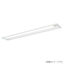 パナソニック XLG431RGNJLE9(NNLG41819C+NNL4305GN LE9)XLG431RGNJ LE9 LED非常灯 非常用照明器具 セット