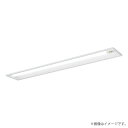 パナソニック XLG452RGNJLE9(NNLG42819C+NNL4505GN LE9)XLG452RGNJ LE9 LED非常灯 非常用照明器具 セット