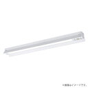パナソニック XWG412KGNJLE9(NWLG42617C+NNW4105GN LE9)XWG412KGNJ LE9 LED非常灯 非常用照明器具 セット