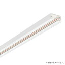100V用 配線ダクトレール本体 3m ホワイト DH02513 パナソニック(ライティングレール)