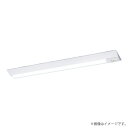 パナソニック XLG419DGNLE9(NNLG48123+NNL4105GN LE9)XLG419DGN LE9 LED非常灯 非常用照明器具 セット リニューアル用