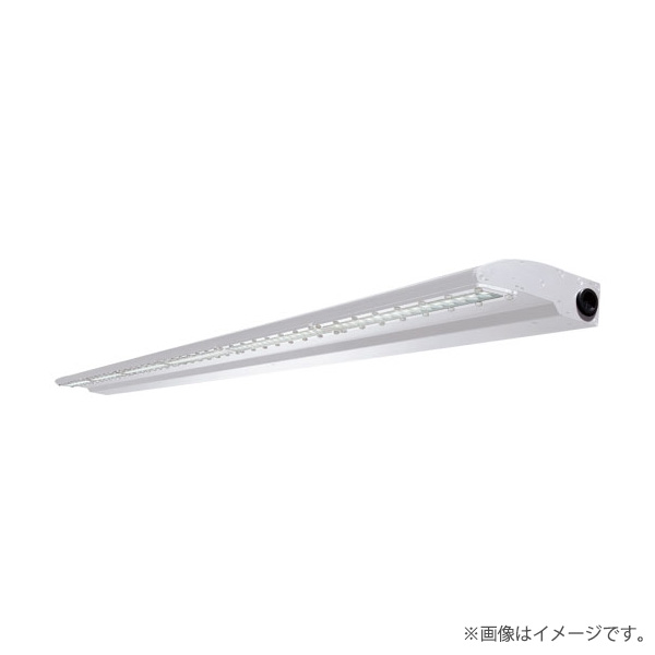 LED投光器 EBL20118ADNSAN9（EBL20118AD/NSAN9）岩崎電気