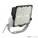 LED投光器 NYS35445LE2(NYS35445 LE2)パナソニック