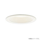 〔即納〕LEDダウンライト セット 電球色 XAD1100LKCE1(LGD9100K+LLD2000L CE1)XAD1100LK CE1 パナソニック