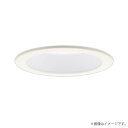 〔即納〕LEDダウンライト セット 昼白色 XAD1110NKCE1(LGD9100K+LLD2000MN CE1)XAD1110NK CE1 パナソニック
