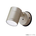 〔即納〕LEDスポットライト セット XLGE1009CE1(LGW41002+LLD2000N CE1)XLGE1009 CE1 パナソニック