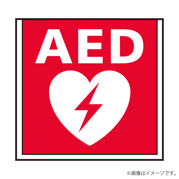 AED 標示灯パネル FK20392 パナソニック
