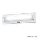 LED非常灯 NNFF21830PLE9(NNFF21830P LE9)非常用照明器具 パナソニック