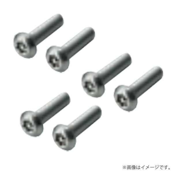 セキュリティねじ 6本セット PV4B-FM5（PV4BFM5）未来工業