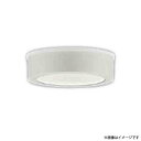 AU50496(AU 50496)LED浴室灯 コイズミ照明