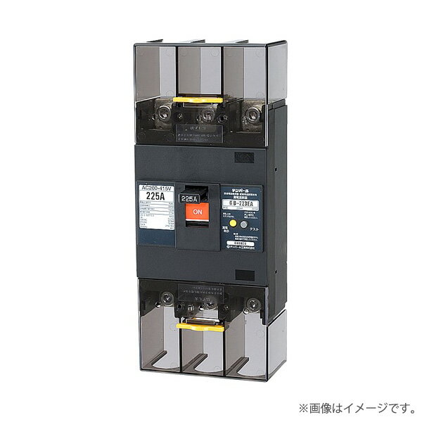 〔即納〕漏電遮断器 223EA22W2（GB-223EA）GB223EA225AW2 テンパール工業