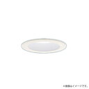 LEDダウンライト セット 昼白色 XAD3200NCE1(LGD9200+LLD4000N CE1)XAD3200N CE1 パナソニック