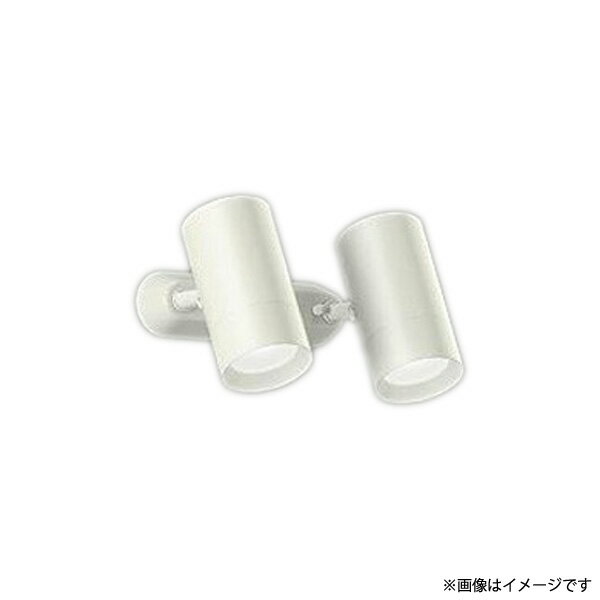 〔即納〕DSL5329WW（DSL-5329WW、DSL5329WWDS、DSL-5329WWDS）LEDスポットライト 大光電機