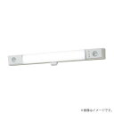 LED非常灯 NNCF21235JLE9(NNCF21235J LE9)非常用照明器具 パナソニック