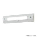 LED非常灯 NNCF23235JLE9(NNCF23235J LE9)非常用照明器具 パナソニック