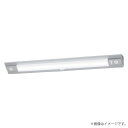 LED非常灯 NNCF44255JLE9(NNCF44255J LE9)非常用照明器具 パナソニック