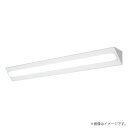 LEDベースライト セット XLX420CEVTRZ9(NNLK41521J+NNL4200EVT RZ9)XLX420CEVT RZ9 パナソニック