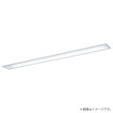 LEDベースライト セット XLX450MEVPRX9(NNLK41710J+NNL4500EVT RX9)XLX450MEVP RX9 パナソニック