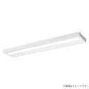 LEDベースライト セット XFX450SELLR9(NNLK42525J+NEL4500EL LR9)XFX450SEL LR9 パナソニック(3)