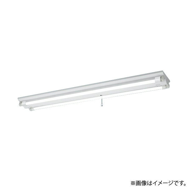 天井直付型　40形　直管LEDランプベースライト（非常用）一般型（30分間）富士型器具　Hf蛍光灯32形高出力型2灯器具相当　Hf32形高出力型ランプ同梱、電源ユニット内蔵、ランプ同梱包◆非常時LDL40S・N／29／38-K 1灯点灯（1900 lm）　常時LDL40S・N／29／38-K 2灯点灯◆色温度：5000 K　◆光源寿命40000時間（光束維持率85％）◆幅：200 mm　◆長：1250 mm　◆高：74 mm◆質量：3.6 kg◆ランプ品名：LDL40S・N／29／38-K　◆全光束：7440 lm◆安定器出力型：定格出力型　◆安定器補足：＜出力固定型＞◆電圧：100〜242 V　◆消費電力：66 W　◆消費効率：112.7 lm/W◆【本体】亜鉛鋼板（クロムフリー）◆【反射板】亜鉛鋼板（白色）◆【蓄電池】ニッケル水素蓄電池◆点検スイッチ付◆充電モニタ（緑）付◆Ra84◆非常灯評定番号：LALD-005【交換電池】FK748【適合ガード】FK42533◆●水平天井取付専用
