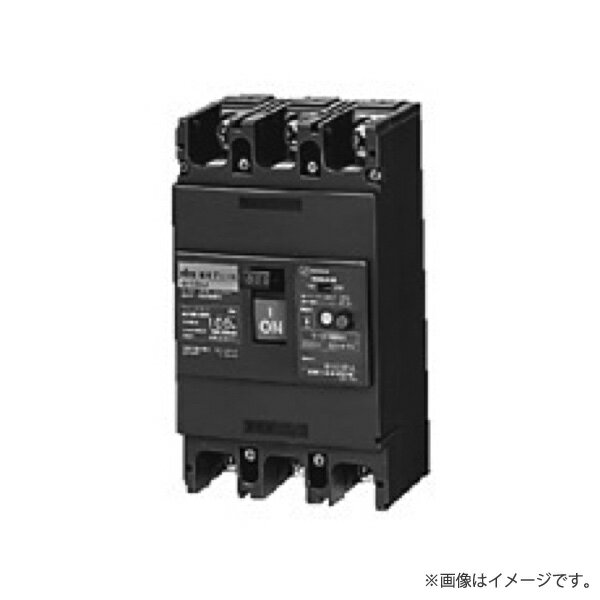 House Building Materials - 漏電ブレーカ GE223 3P 225A FVH（表面形）GE2233P225AFVH 日東工業〔代引不可〕