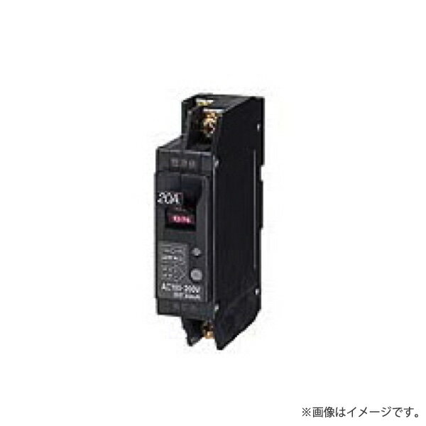 〔即納〕漏電ブレーカ GX52A 2P 20A F30（GX52A2P20AF30）日東工業〔代引不可〕