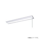 XLX440DPNULE9(NNLK42523J+NNL4400PNP LE9)XLX440DPNU LE9 LEDベースライト セット パナソニック